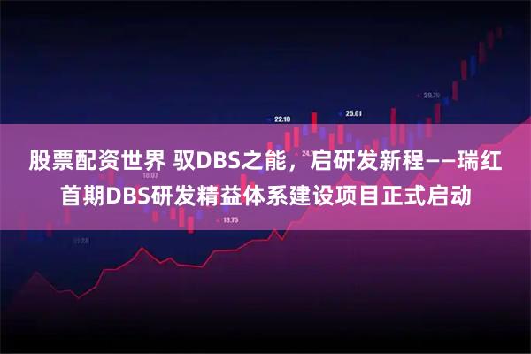股票配资世界 驭DBS之能，启研发新程——瑞红首期DBS研发精益体系建设项目正式启动