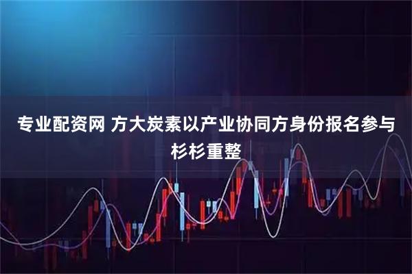 专业配资网 方大炭素以产业协同方身份报名参与杉杉重整